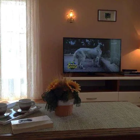 Appartamento In Novigrad - Istrien 45767