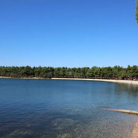 In Novigrad - Istrien 45767 Appartamento Karpinjan